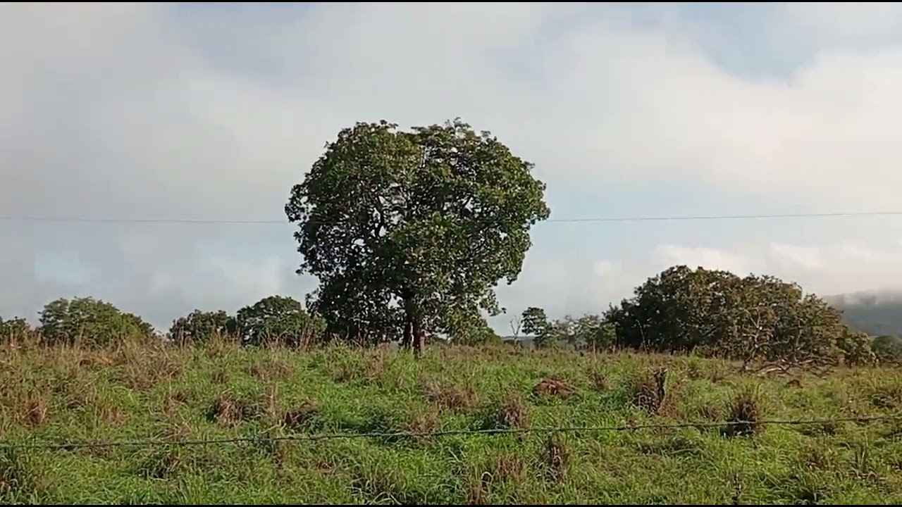 Dia muito feliz na fazenda gratidão 