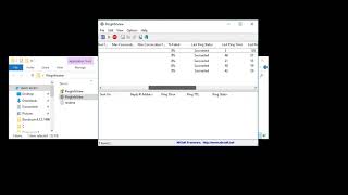 pinginfoview screenshot 4