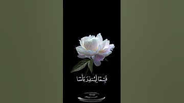 صباح الخير 💜 حالات واتس اب مقاطع قصيره🤍قران سورة الكهف جمعه طيبه مباركه بالصلاة على النبي💜بدون حقوق