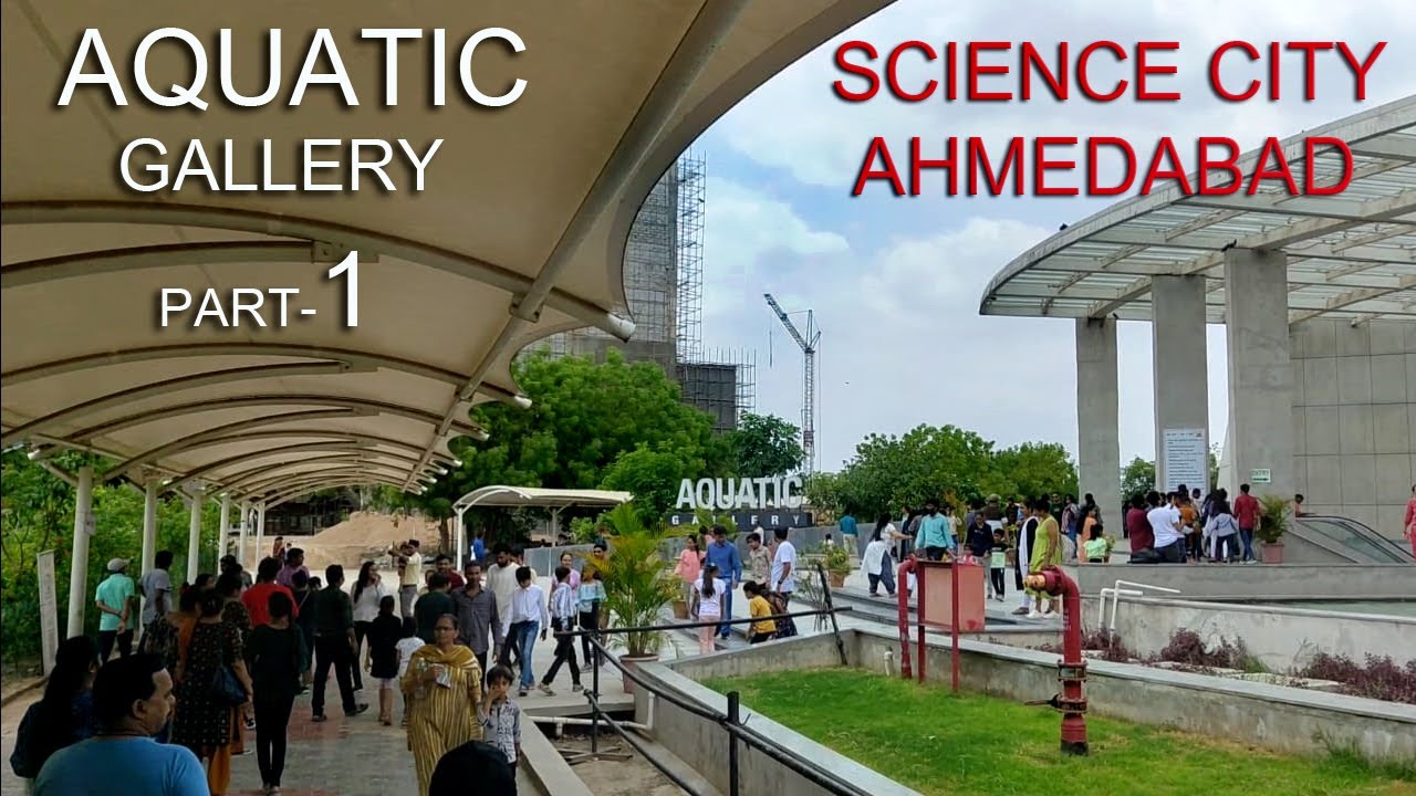 Aquatic Gallery part 1 Science city Ahmedabad The Shark Tunnel