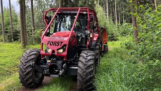 Kurzer Brennholztransport mit BMF 14 T2 und Case Vestrum