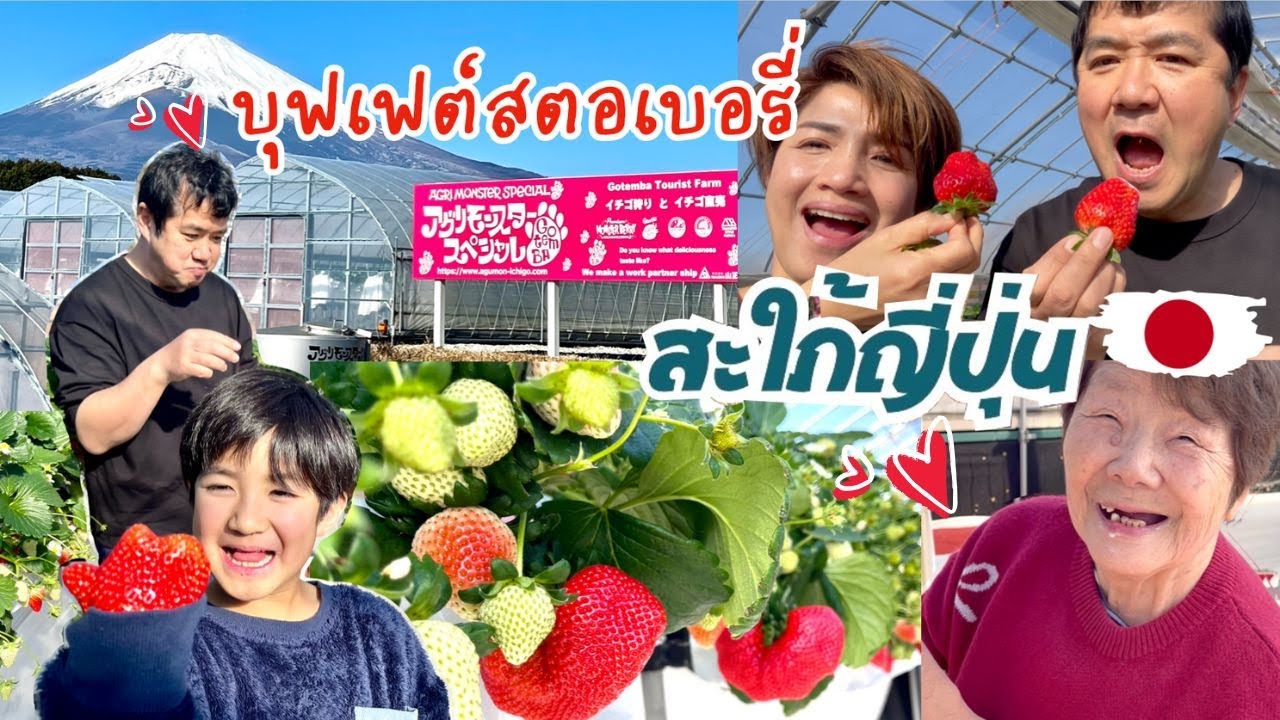 กินบุฟเฟต์สตอเบอรี่ญี่ปุ่นต้องกินช่วงไหนให้อร่อย สวนนี้ให้ No.1ในใจครอบครัวอันโด |ชีวิตบ้านๆ🇯🇵161