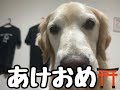 あけおめ！
