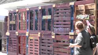 Installing Interactive Art at EARTHDANCE Florida