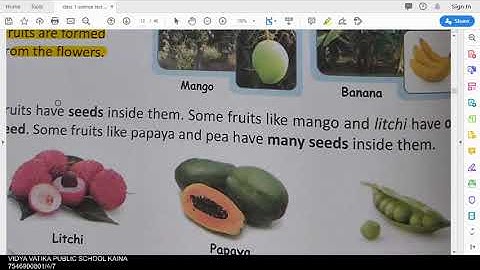 class 1 science chapter 7 our plant world part 4 and final