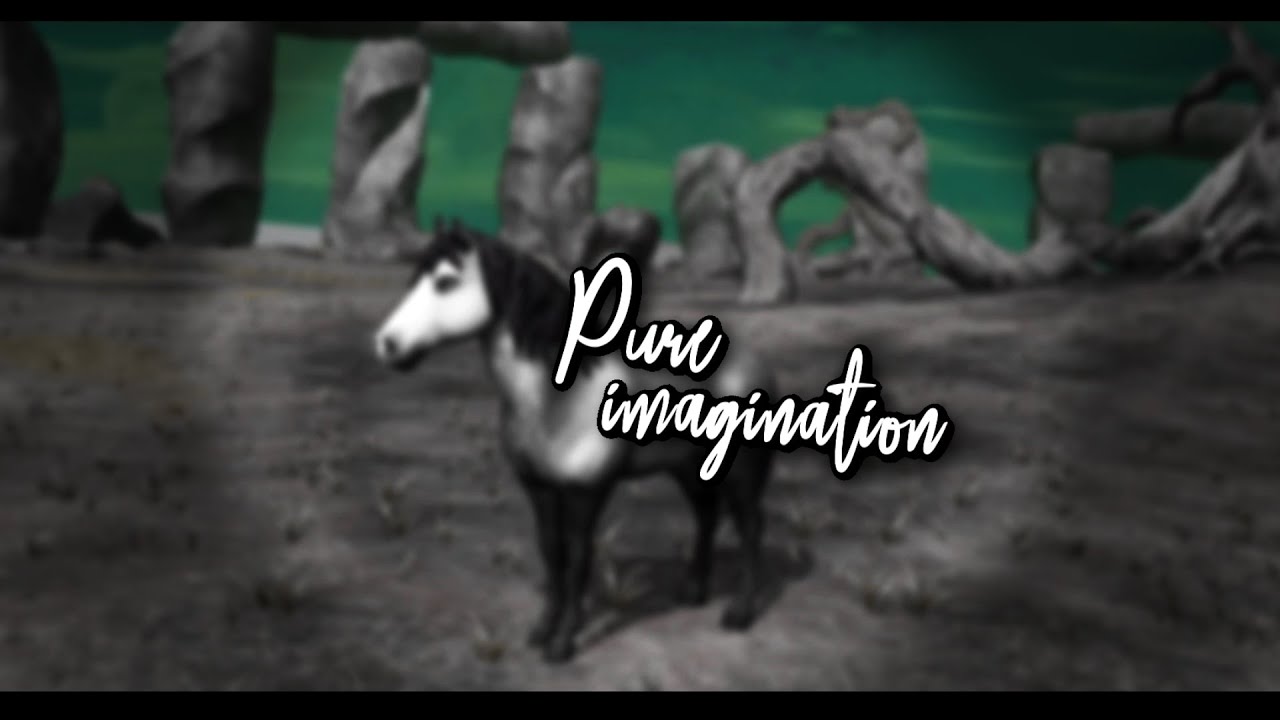 P U R E I M A G I N A T I O N YouTube