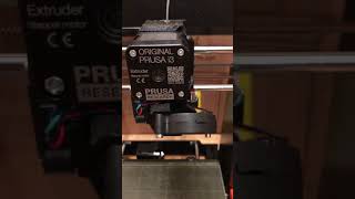 IMG 7531