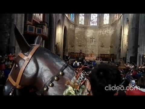 Vídeo: Festes de l’Església al juliol de 2022