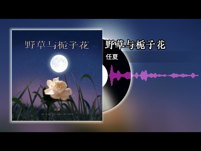 野草与栀子花 - 任夏 | 【流过的眼泪 成了回忆里的一道疤 以后再没有人来帮我擦】 class=