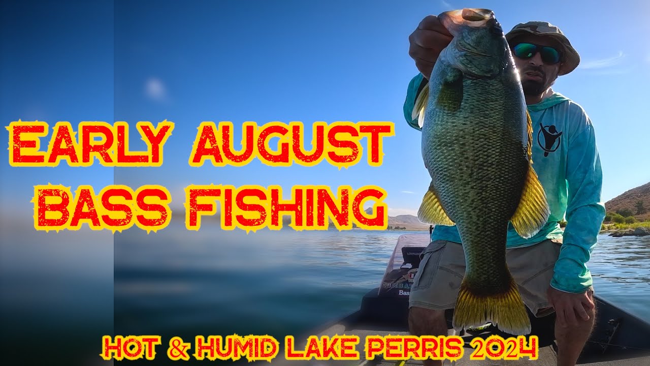 Early August Bass Fishing | Summer Lake Perris 2024 #bass #fishing #summer