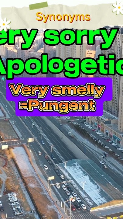 Synonyms English Shorts YouTube synonyms-english-shorts-youtube