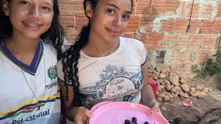 Download Lagu BRINCADEIRA DA UVA ENVENENADA COM A MARIA MP3