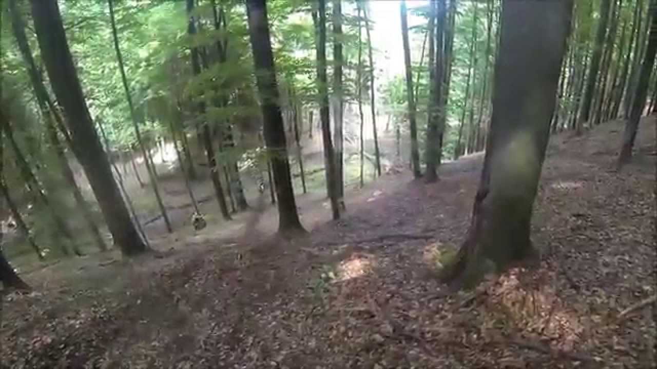 Black Forest children's Day! YouTube