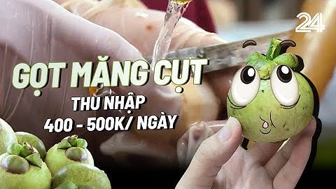 Kiếm hơn nửa triệu đồng mỗi ngày nhờ gọt vỏ măng cụt | VTV24