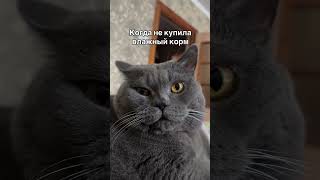 ТГ: layla_winx #гипнокоуч #гипнолог #гипнотерапия #гипнологонлайн #гипноз #транс #гипнозонлайн