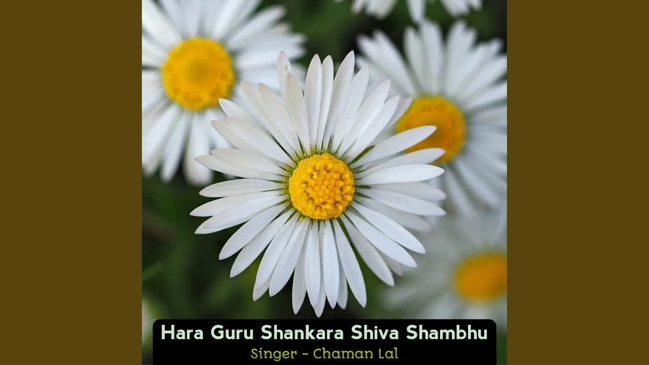 Hara Guru Shankara Shiva Shambhu