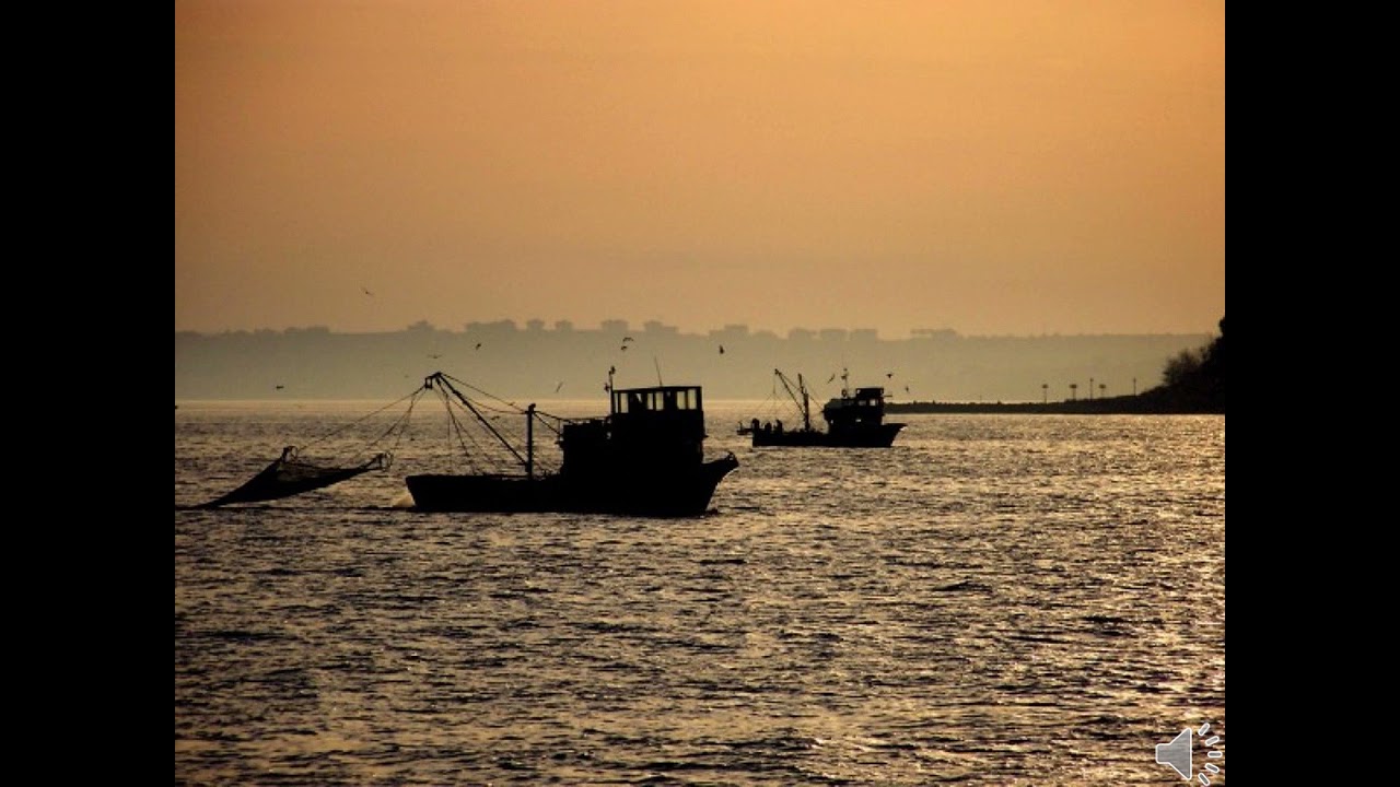Silivri Roman Havası Potpori uzunköprü Roman Düğün