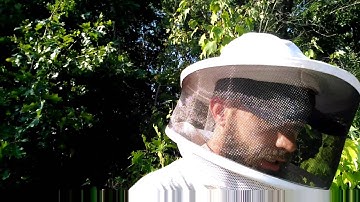 Combining Hives In Preparation For Winter