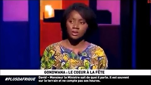 Débat africain sur le Gondwana : meilleurs moments !