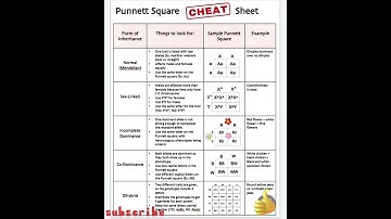 Inheritance Form|Cheat sheet