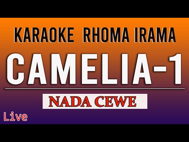 KARAOKE CAMELIA NADA CEWE, Rhoma Irama class=