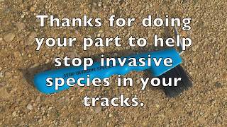 Stop the Spread of Invasive Species: Leave No Trace Skills Series / Paremos a las Especies Invasoras