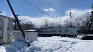 キハ261系特急とかち8号十勝清水駅#jr北海道 #根室本線 #キハ261系