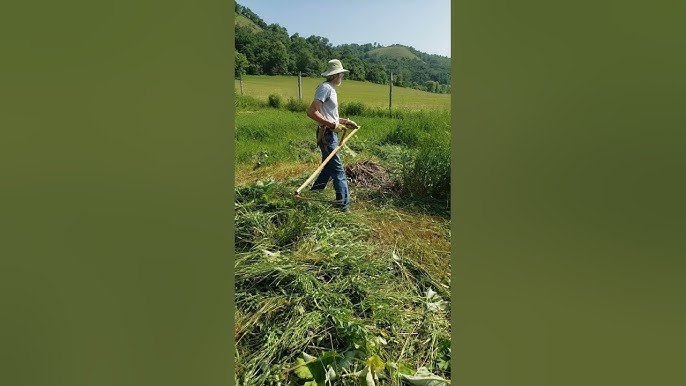 How to Mow With a Scythe - Dengarden