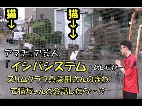 ものまね「スリムクラブ真栄田で猫と会話してみた~イシバシステム~ comedy videos