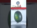 Vacuum vs Watermelon — Extreme Pressure Test Inside the Vacuum Chamber 💨🍉
