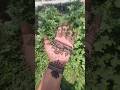 prem ki leela 💓#mehndi #youtubeshorts #henna #viral #famous