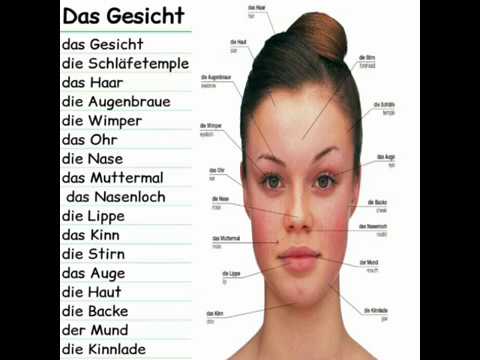 Das Gesicht