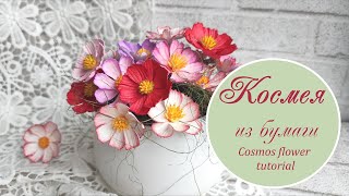 Космея из бумаги / Cosmos flower tutorial