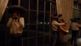 Authentic Mariachi Band