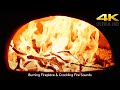 10 HOUR FIREPLACE: Relaxing and Stunning Fireplace with Burning Wood