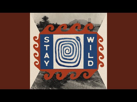 The Bones of J.R. Jones - Stay Wild