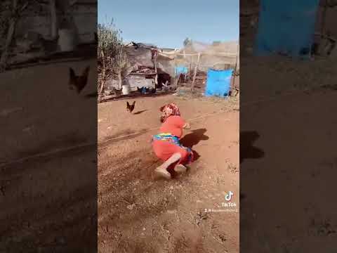 محمد لوسي مات