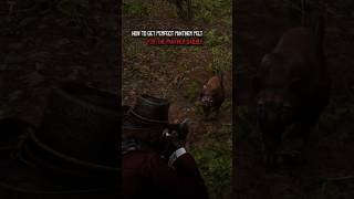 Kill 1 Panther = Max Horse Power 🐎 | RDR2 #shorts