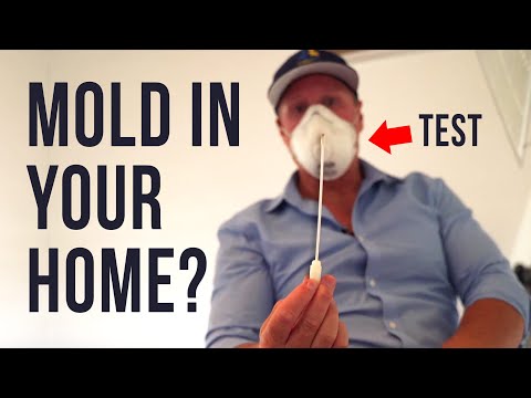 How To Tell If Mold In Bathroom Is Dangerous?