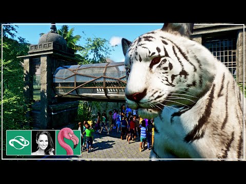 🦩 Building a White Bengal Tiger Temple Habitat with Overpass | Planet Zoo Franchise Mode