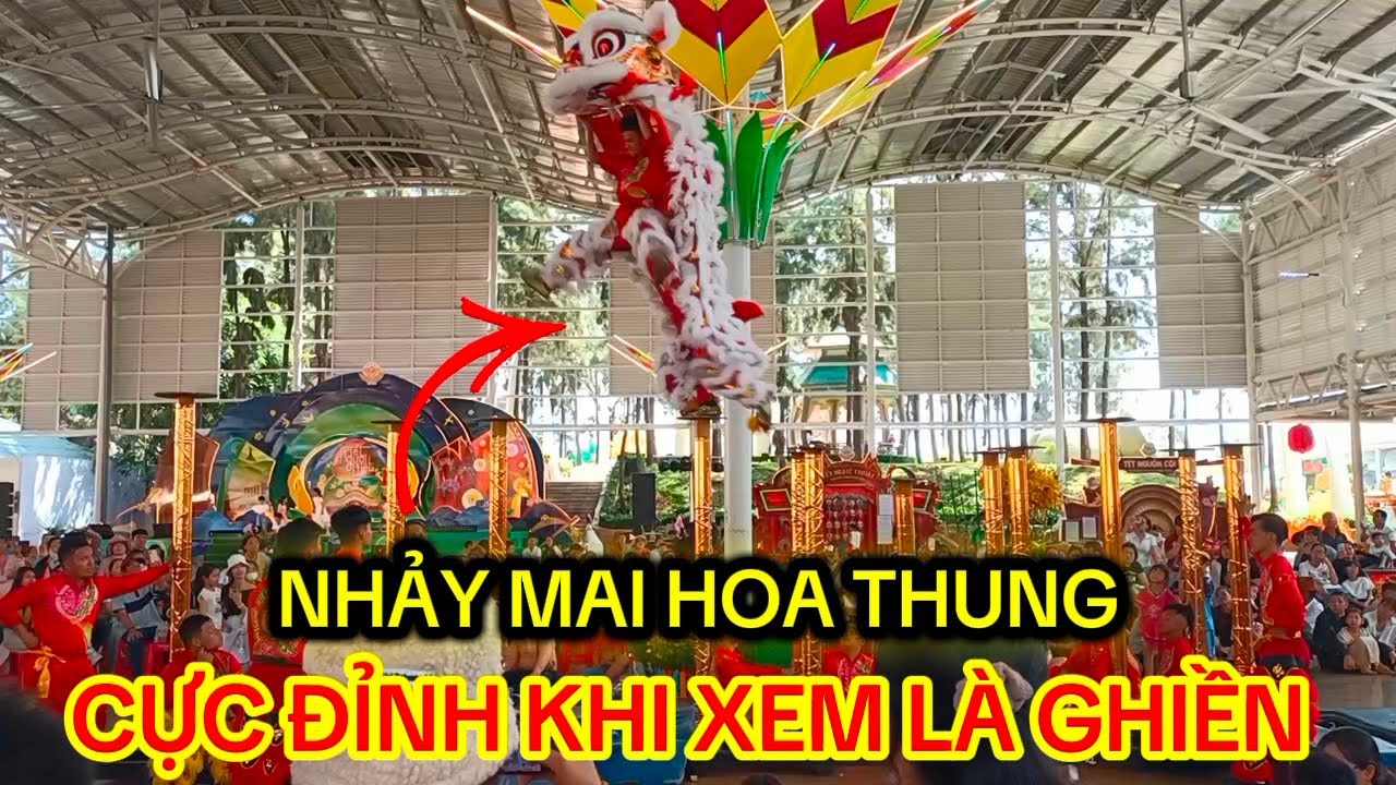 Màng Biểu Diễn Cực Hay | Nhảy Mai Hoa Thung | Đoàn Lân Sư Rồng Long Thiên Môn Cực Đỉnh | Lý Vlog NMT
