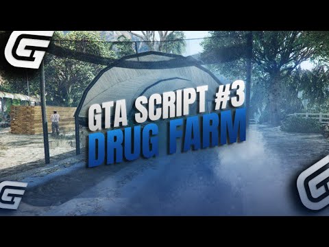 [Mta Sa Maroc] Weed-Farm Like FiveM | [#3] In Mta Sa - YouTube