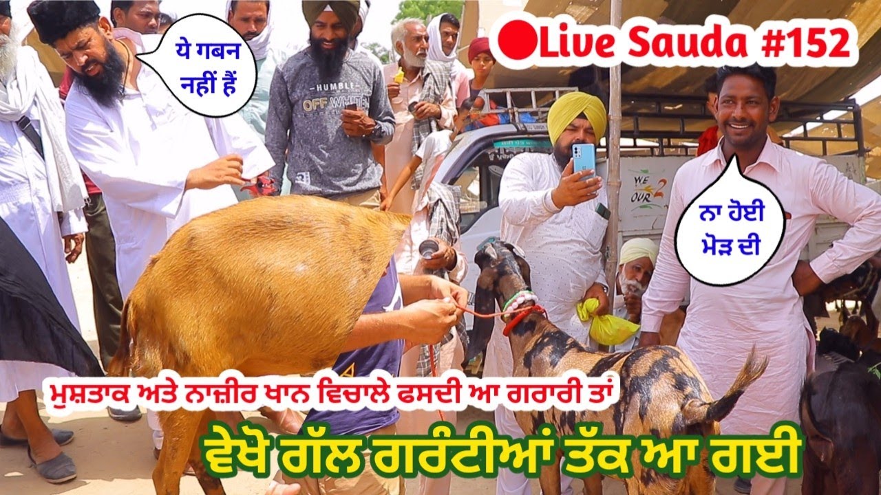 ਨਜ਼ੀਰ ਖਾਨ ਦੇ Live ਸੌਦੇ - goat farming - Live sauda 152 