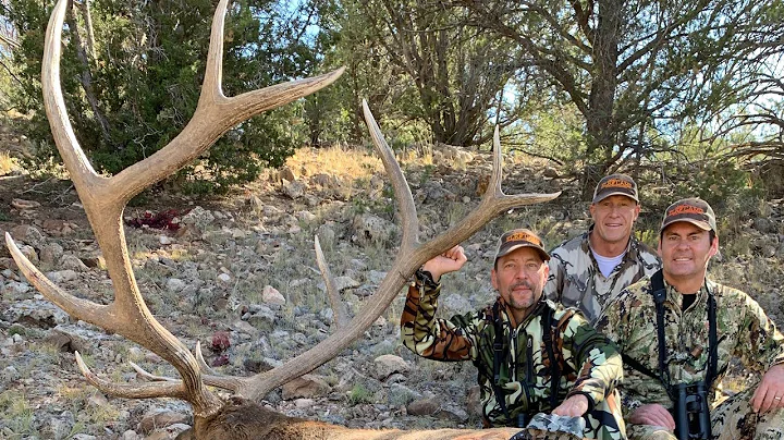 Elk Camp TV- Calling Arizona Herd Bulls Part 2