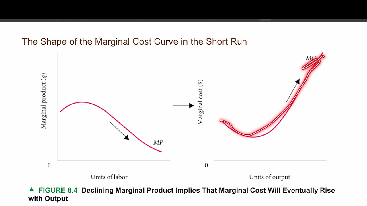 Microeconomic | Short-Run Costs and Output Decisions| L 8 - YouTube