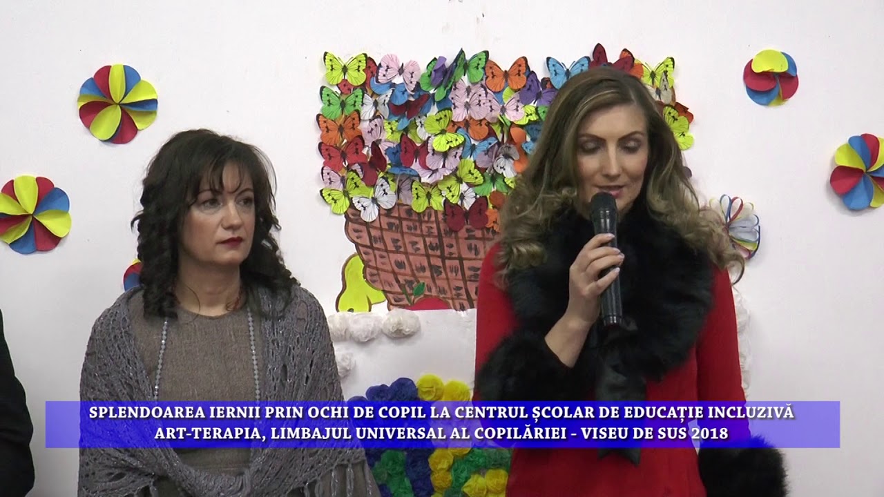 Peste 300 De Copii La Centrul Scolar De Educatie Incluziva Viseu