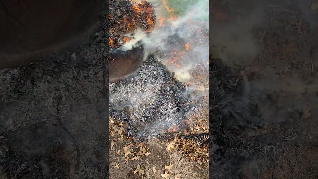 Burn pit at the garden