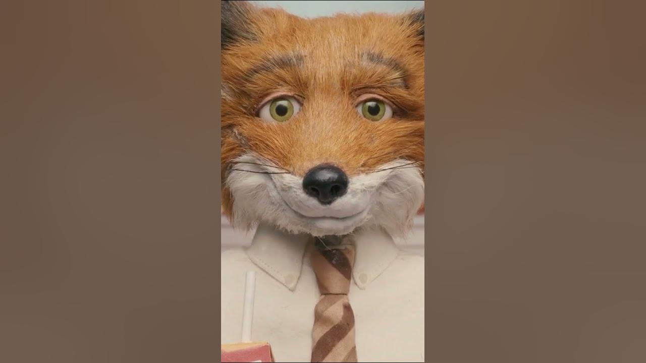  what does fox say youtube