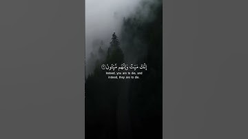 آيات بصوت الشيخ:ماهر المعيقلي