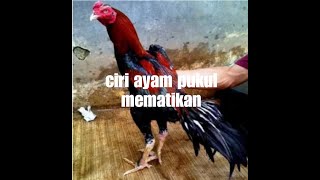 CIRI PUKULAN MEMATIKAN